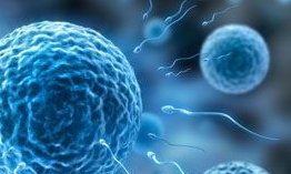 广东省中医院大学城医院做三代试管成功率如何？一文读懂需要花多少钱