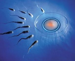 军嫂孕检能否报销、操作流程答案奉上，这些福利不能错过