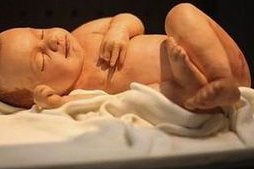 深圳私立医院三代试管费用揭秘：一分钟带你走完试管全程！