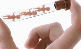 一管一个囊胚和两个囊胚有哪些区别