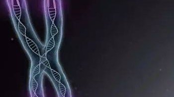 重度宫腔粘连在信阳市做试管婴儿靠谱吗，重度宫腔粘连试管婴儿成功率多少！