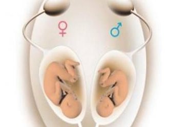 第三代试管婴儿成功率75%？带你走进泰国LRC生殖中心