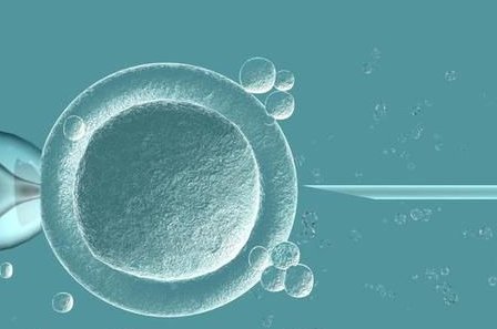 上海三代试管生三胎的多吗？成功率高吗？